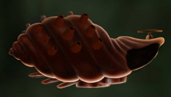 Creation of The journey: Step 9